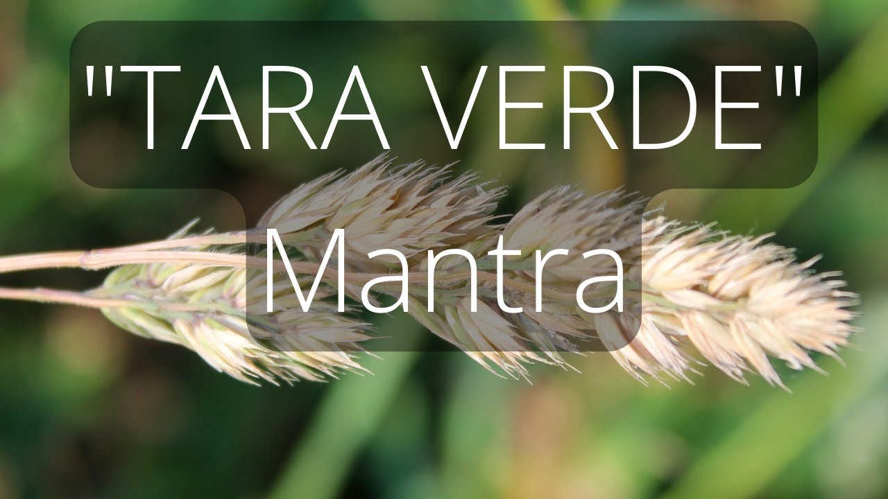 TARA VERDE - Mantra