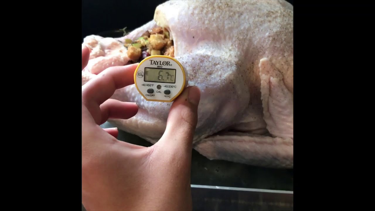 IB Physics Turkey Heat Capacity Project