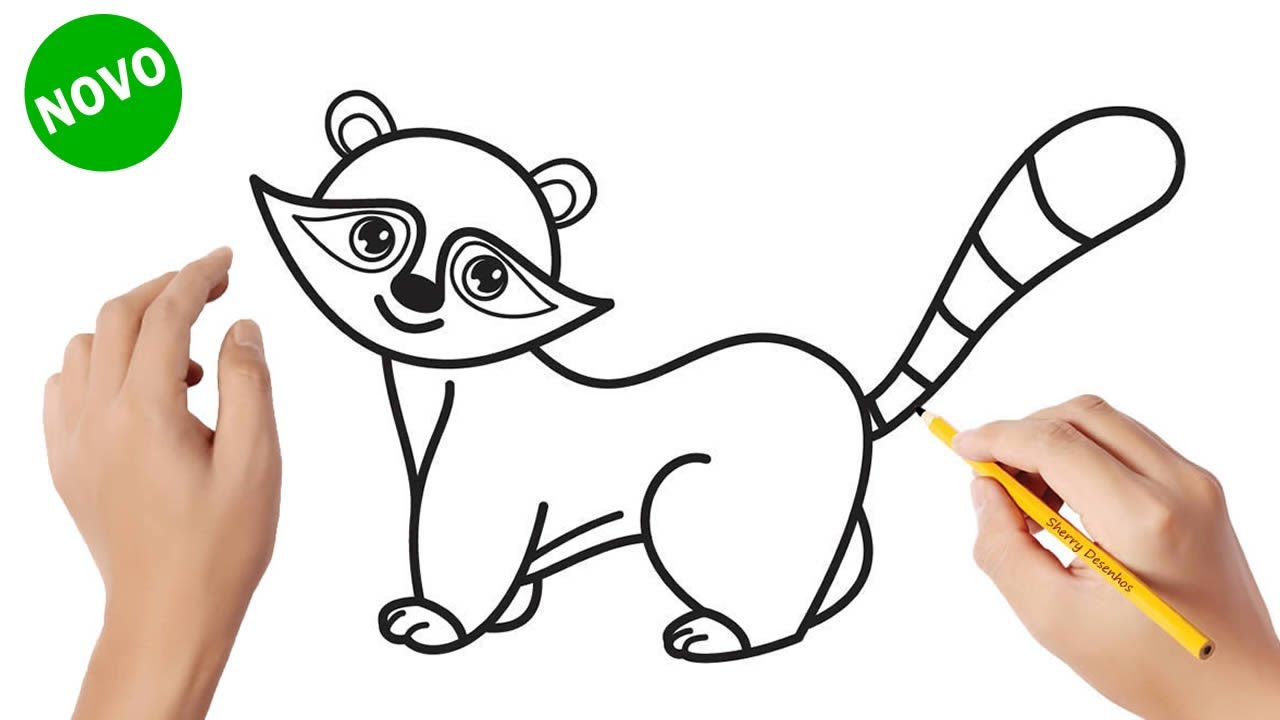 Como desenhar um guaxinim