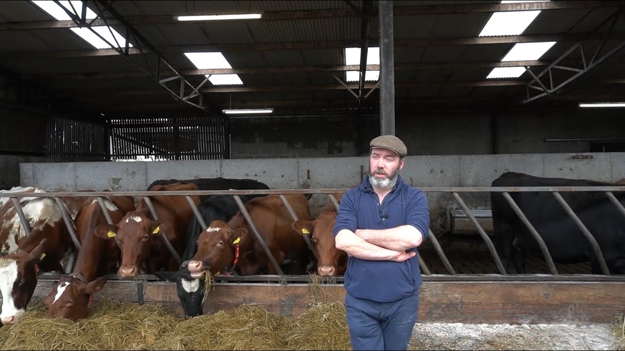 Profile of an organic Dairy Farm