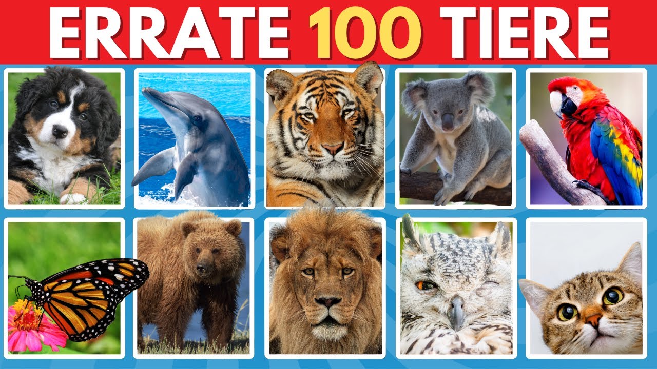Errate 100 Tiere in 3 Sekunden | Einfach, Mittel, Schwer, Extrem 🧠🔥
