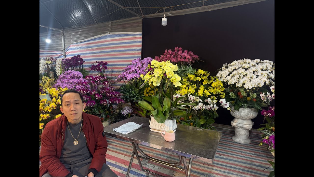 1/2 VÀO MUA HÀNG NÀO CÁC CỤ 0906110068