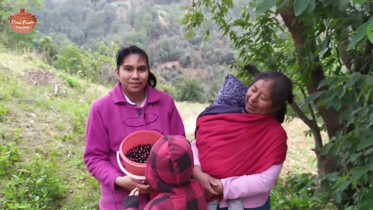 Con capulines silvestres preparamos unos tamalitos riquísimos