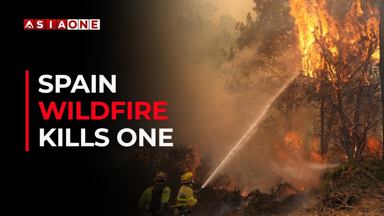 Wildfire Near Valencia Kills One as Spain Battles Multiple Blazes | Asia One News