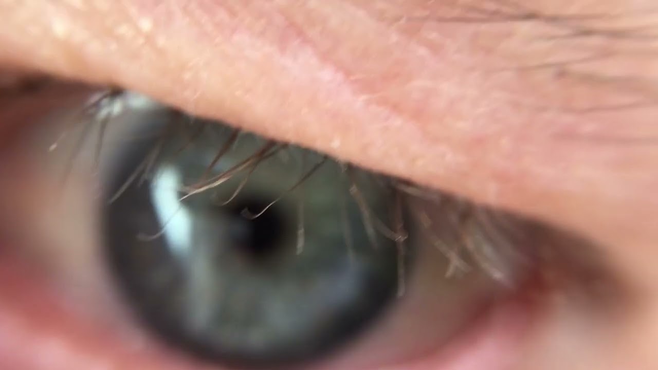 Close up of (blue ) eye. Macro