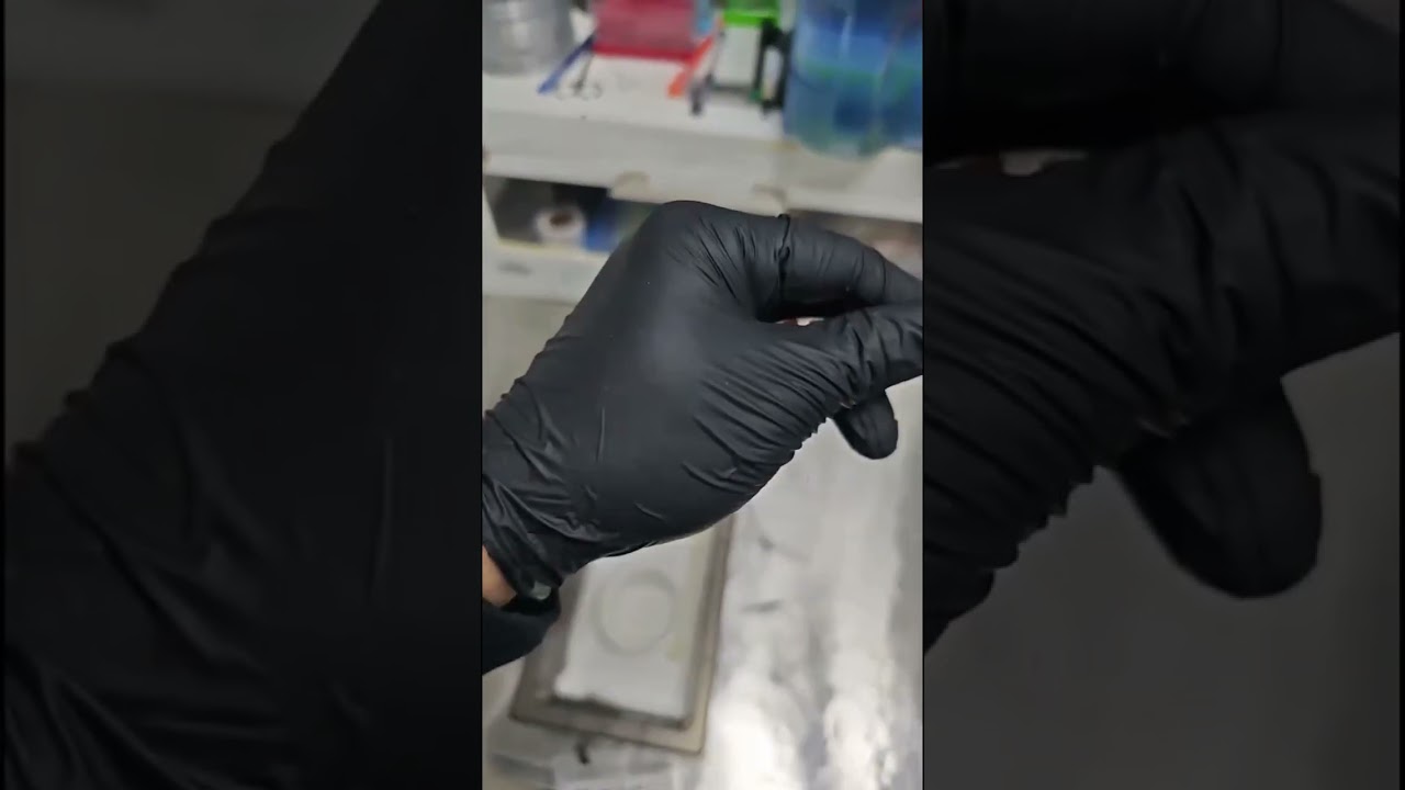 POV Cleaning Snake Enclosure – Watch Full Livestream for Reptile Care Workflow!