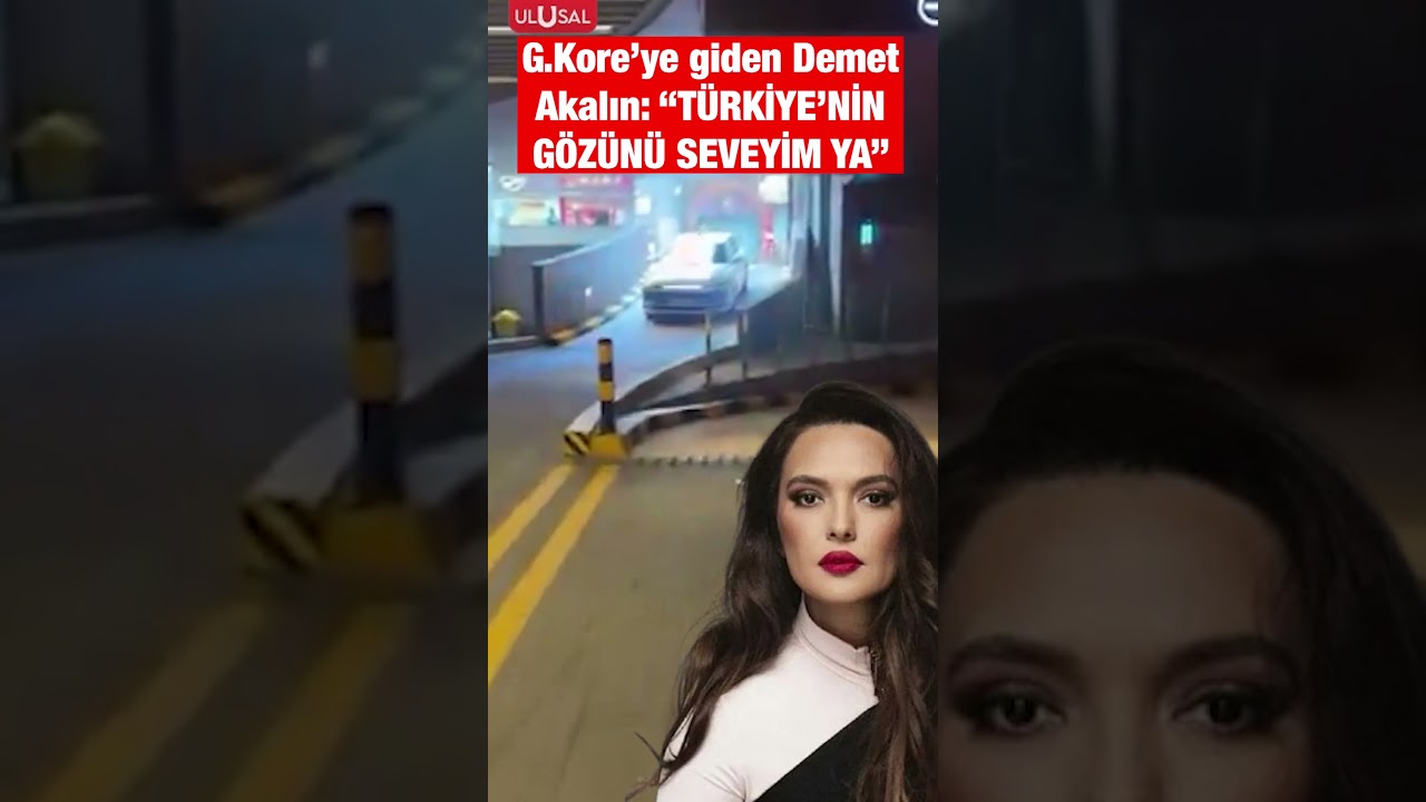 G&uuml;ney Kore'ye giden Demet Akalın: 