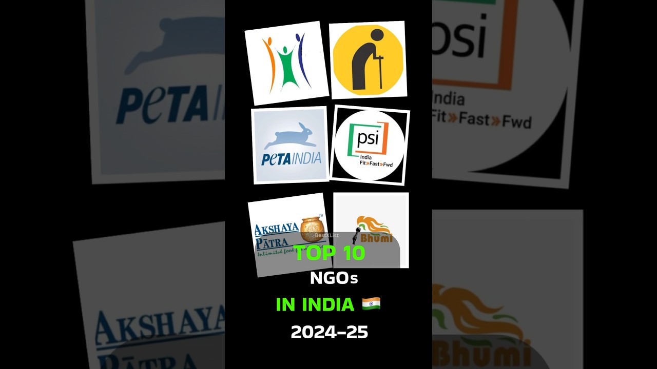 Top 10 NGOs in India 2024-25. 