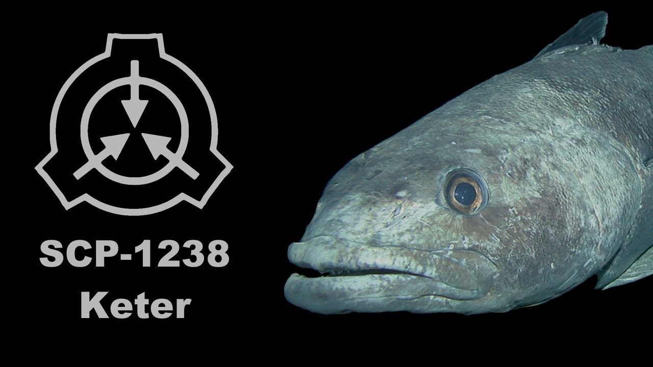 SCP-1238: Tunnelfish
