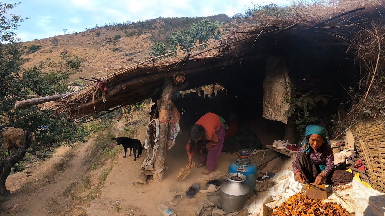 This is Himalayan Nepali Village Lifestyle | Organic Food Cooking in Countryside | Hari Rokaya |