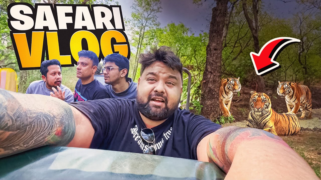 WE SPOTTED *3 TIGERS* ON OUR FIRST SAFARI IN TADOBA NATIONAL PARK  *SHOCKING *