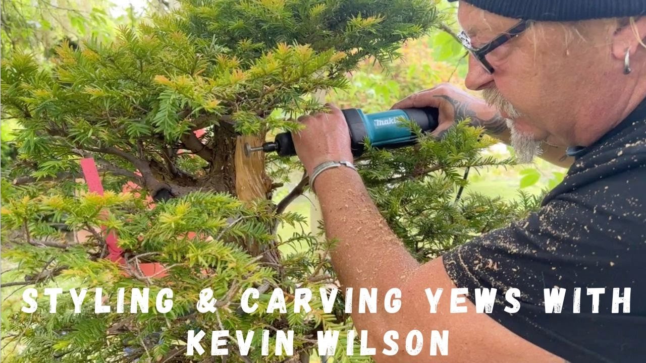 Styling and Carving Yews with Kevin Wilson