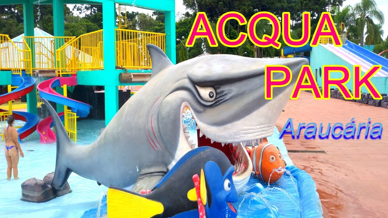 Neste verão conheça este incrível parque aquático / Araucaria acqua Park