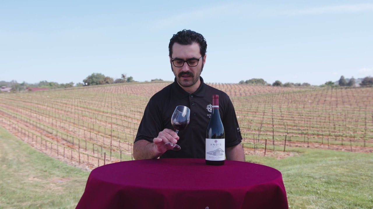 Andis Barbera Virtual Tasting Notes