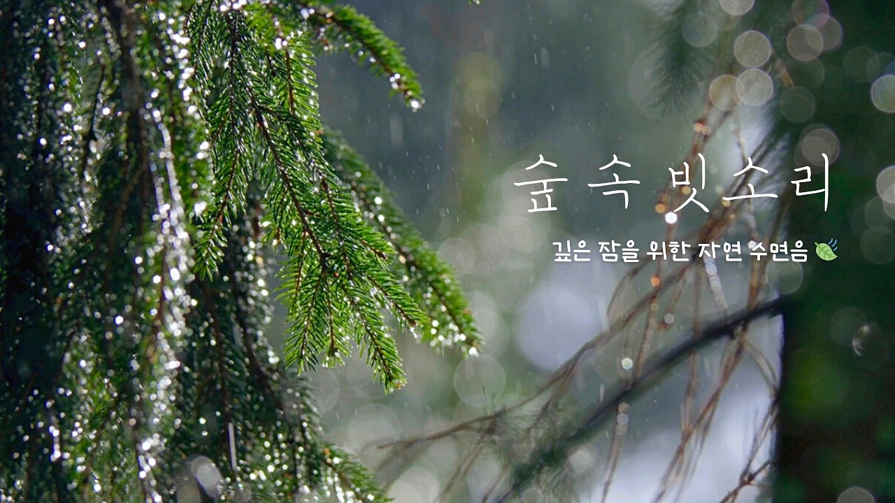 숲속 빗소리 2시간 🌧 불면증 완화 깊은 잠을 위한 자연 ASMR | Rain Sound for Sleep (2 Hours)