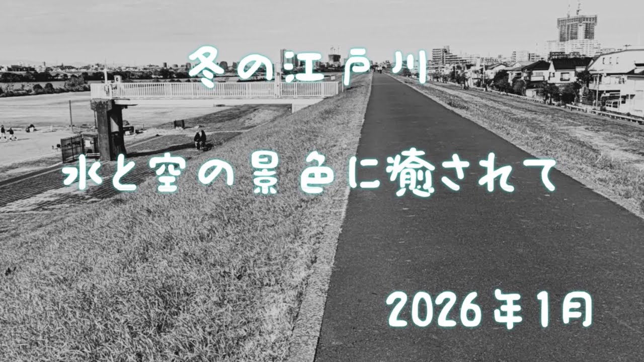 2026年1月12日  冬の江戸川  水と空の景色に癒されて