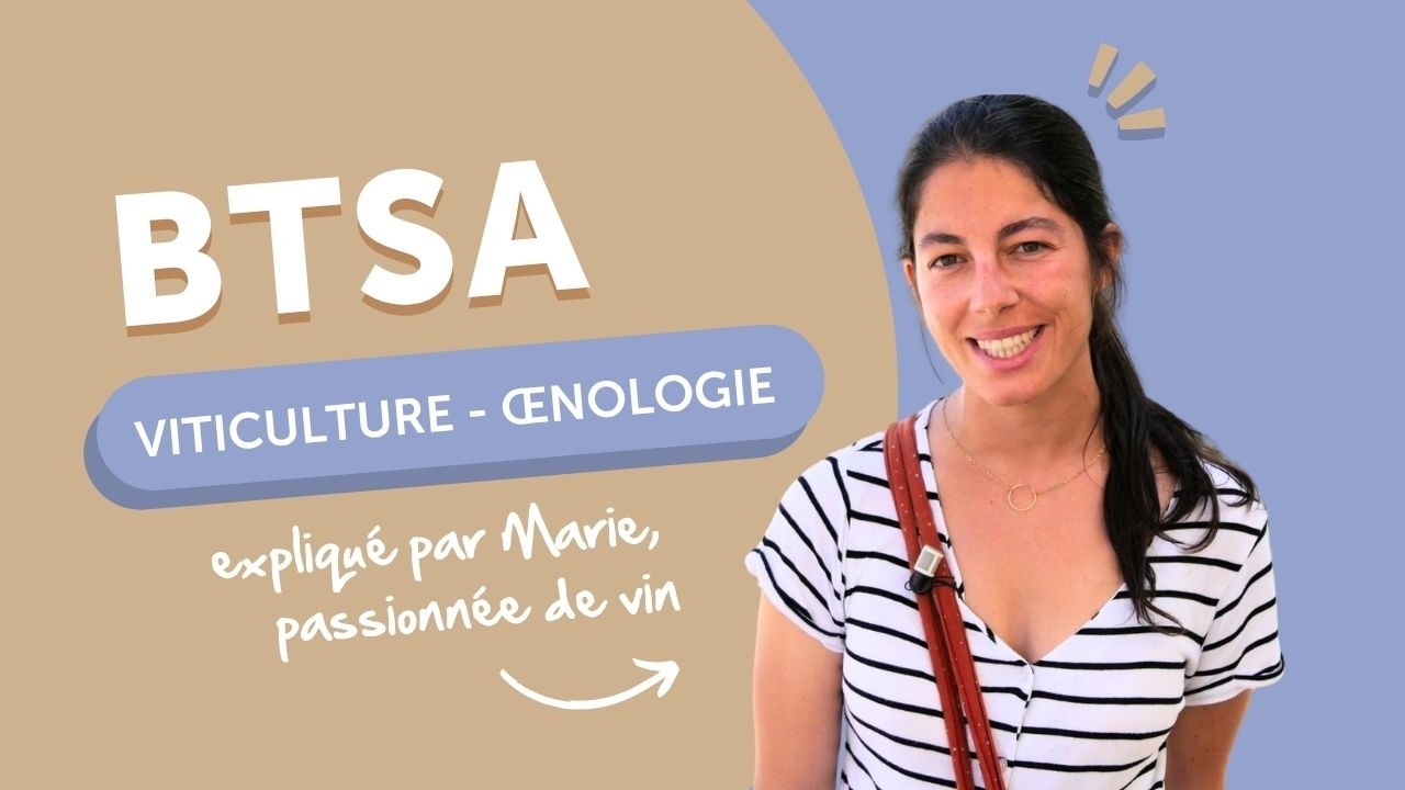 Le BTS Viticulture Œnologie à distance, expliqué par Marie, passionnée de vin | CERCA by ESA