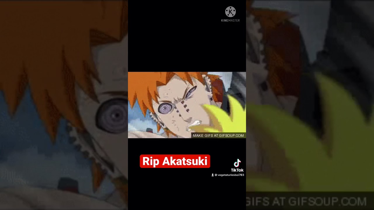 All Akatsuki Deaths 💀