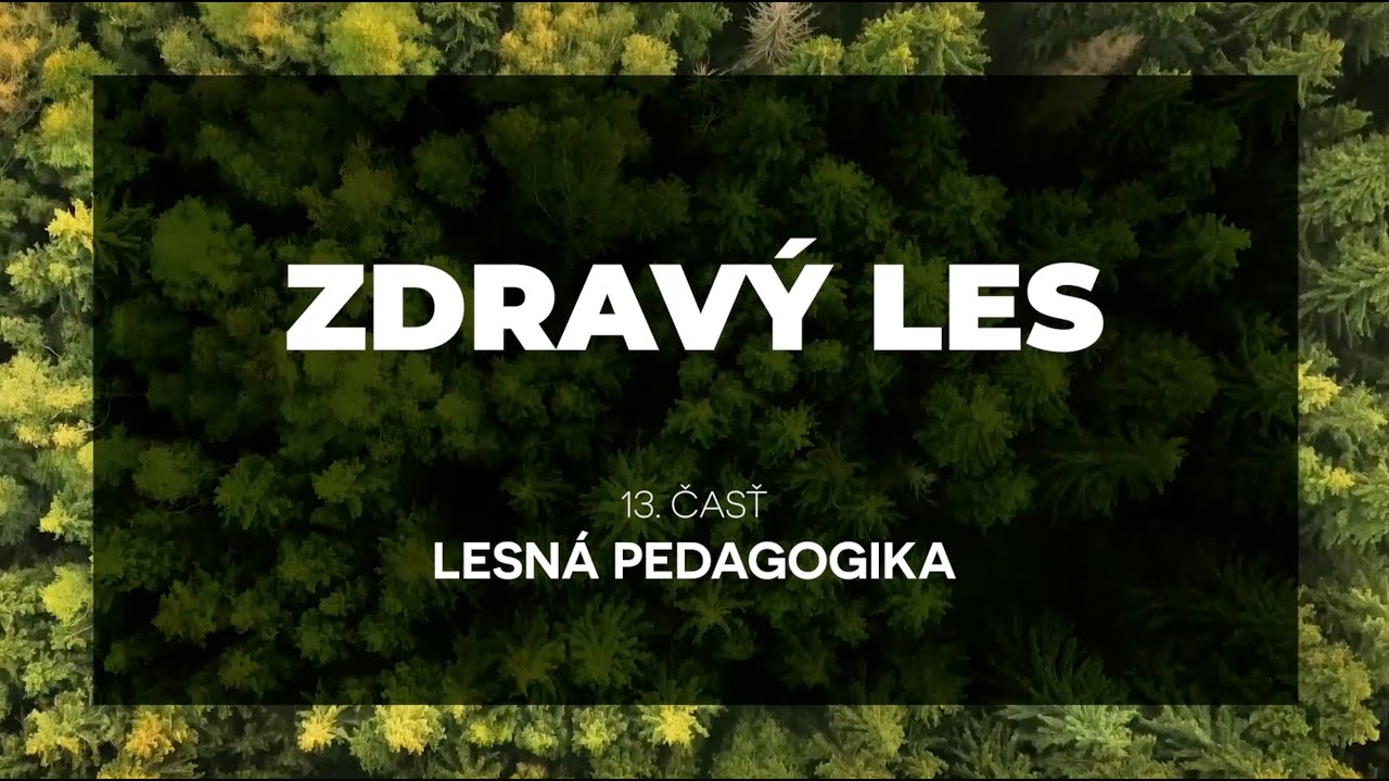 ZDRAVÝ LES - Lesná pedagogika