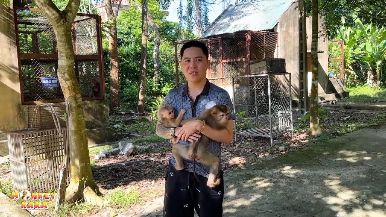 Незабываемый момент, когда папа крепко обнял обезьянку Каку и обезьянку Мит.