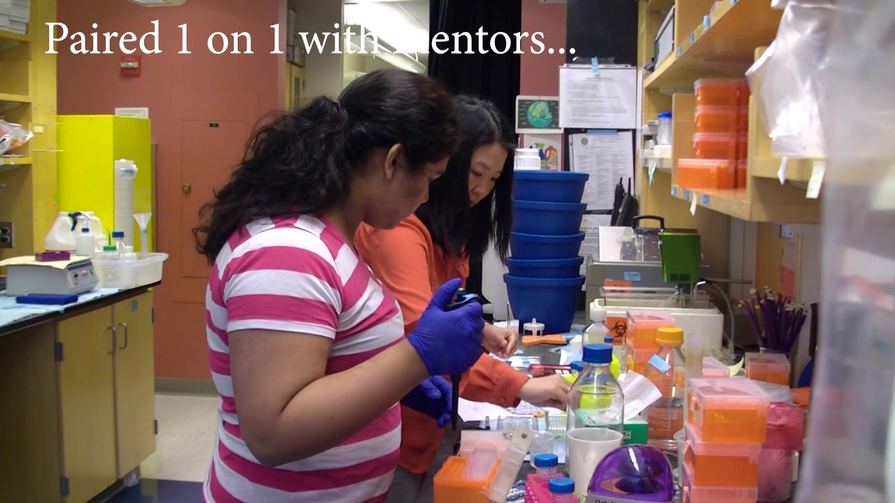 UPMC Hillman Cancer Center Academy