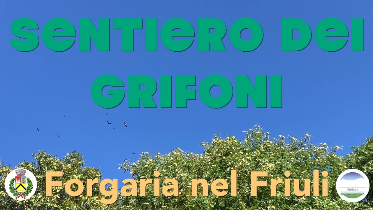 051 FORGARIA NEL FRIULI - il sentiero dei grifoni sul lago di Cornino