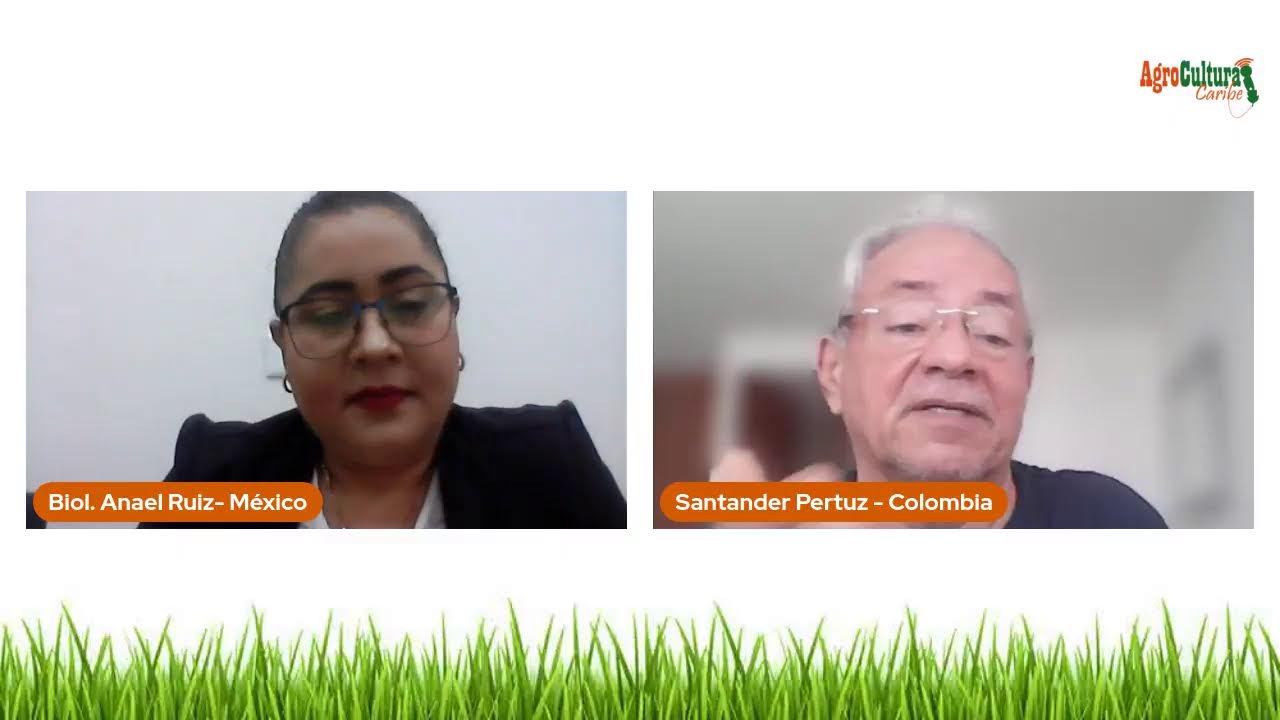 CONTROL BIOLOGICO DE FUSARIUM EN CULTIVO DE MAIZ Y TRIGO