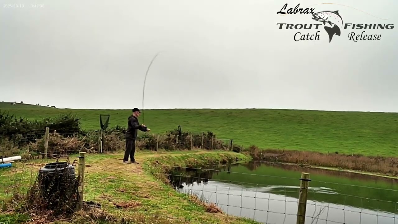 Slow Motion Alex Fishing Labrax 13 10 2025
