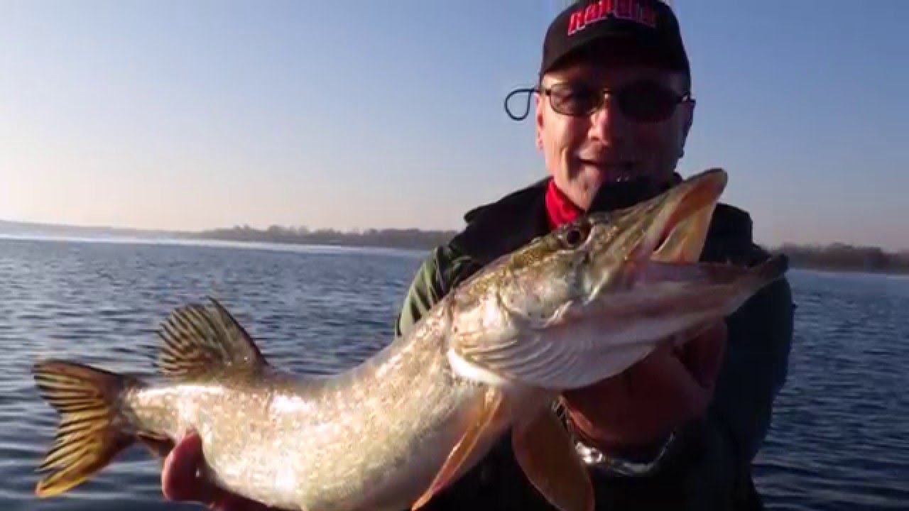 p&ecirc;che du brochet &agrave; Plobsheim