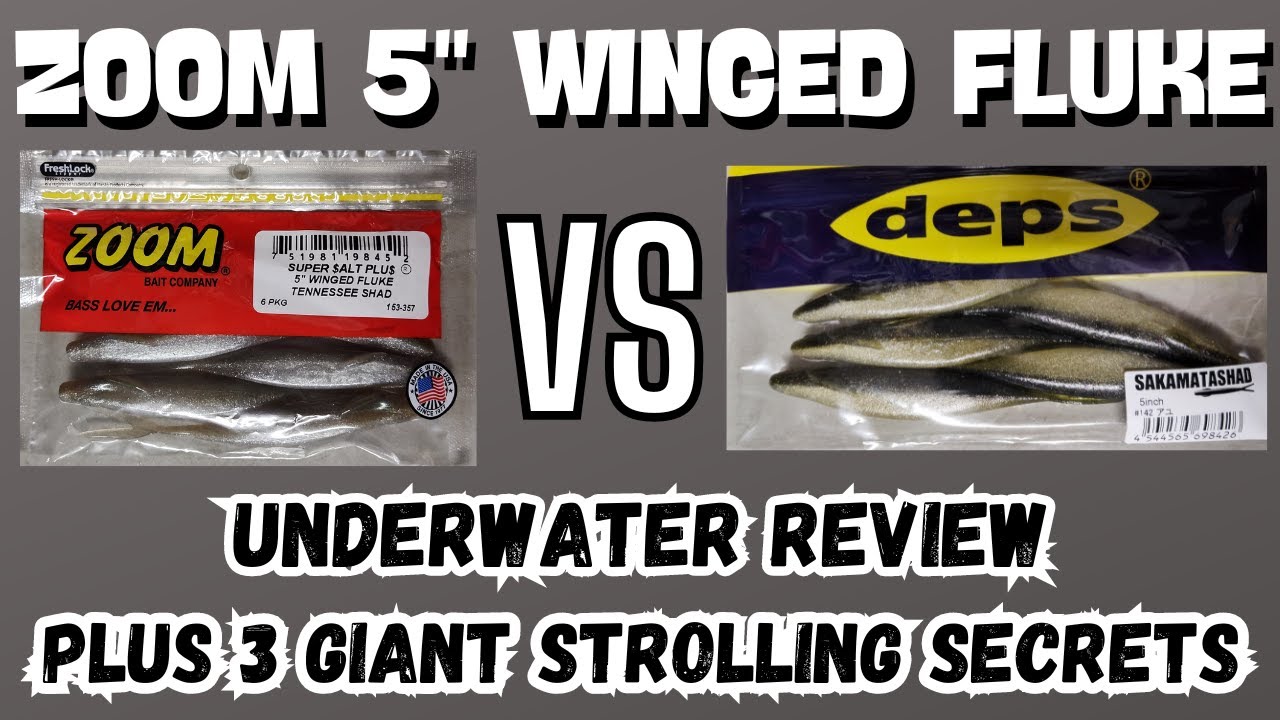 Zoom Winged Fluke - Must Watch Before You Buy!