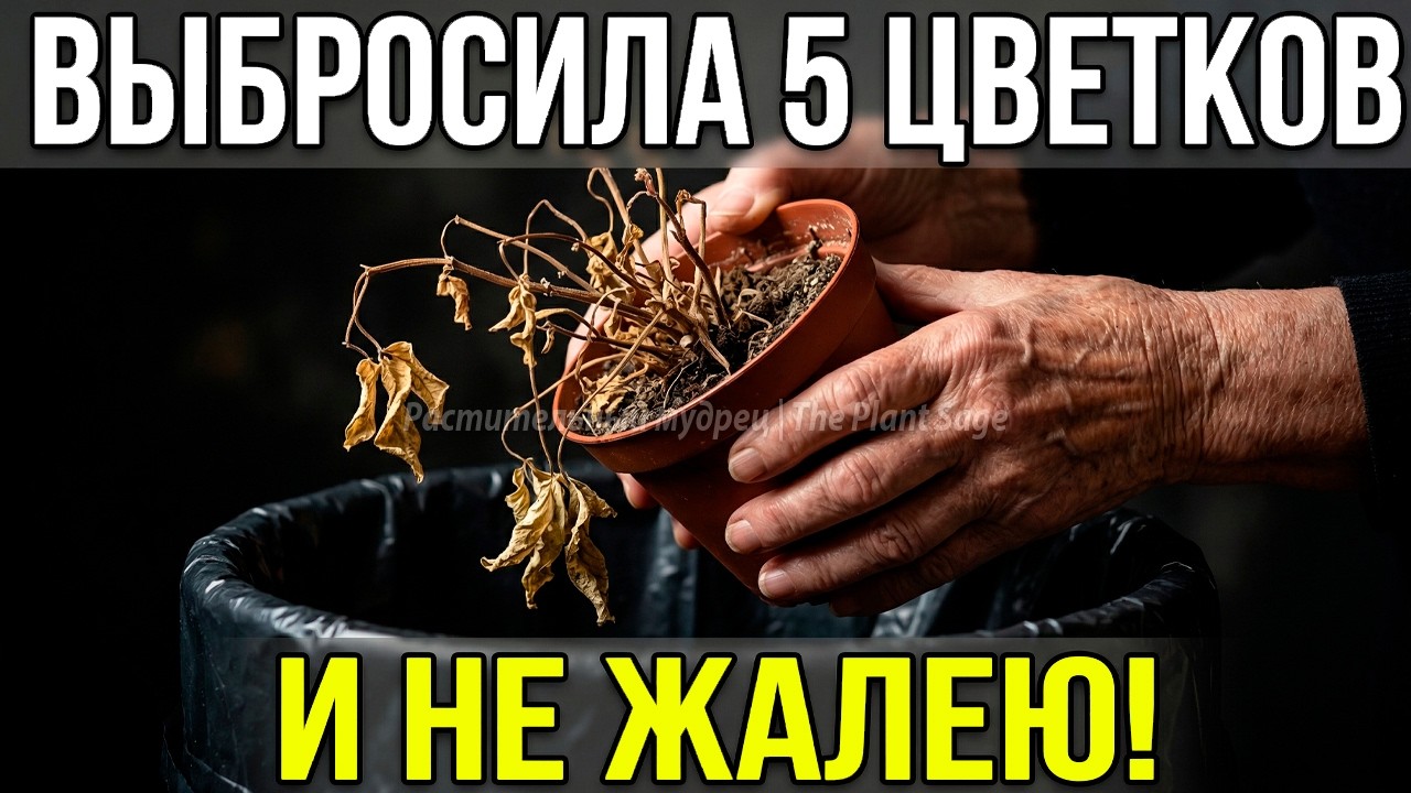 ОБХОДИТЕ СТОРОНОЙ ЭТИ 5 ЦВЕТОВ — МОЙ ГОРЬКИЙ ОПЫТ ЗА 17 ЛЕТ