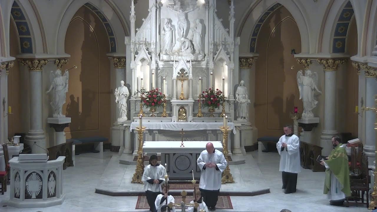 Sunday Feb 15 2026 11 o'clock Mass