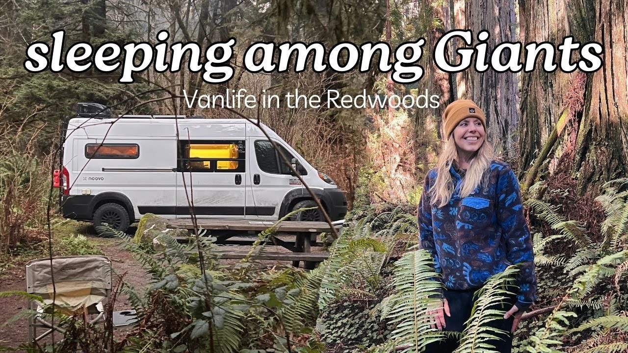 Sleeping Among Giants | Vanlife in the Redwoods