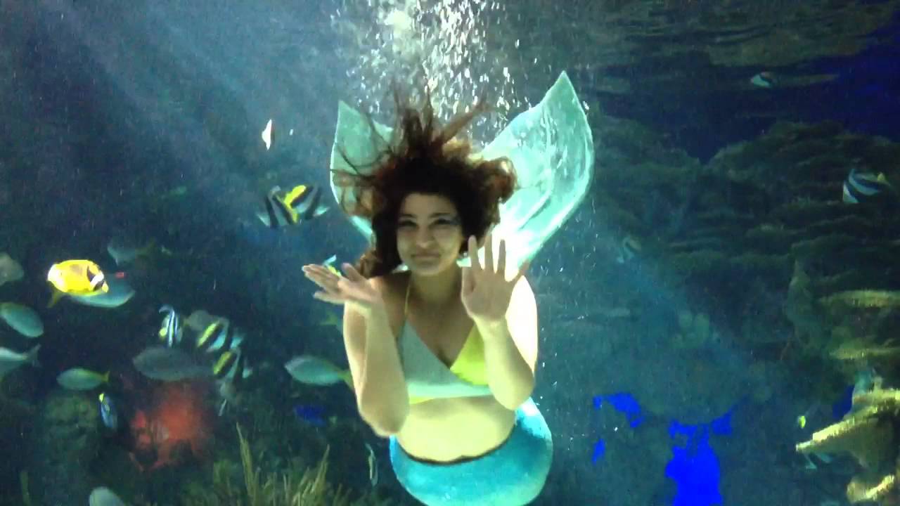 Mermaid Show at Ripley's Aquarium of The Smokies