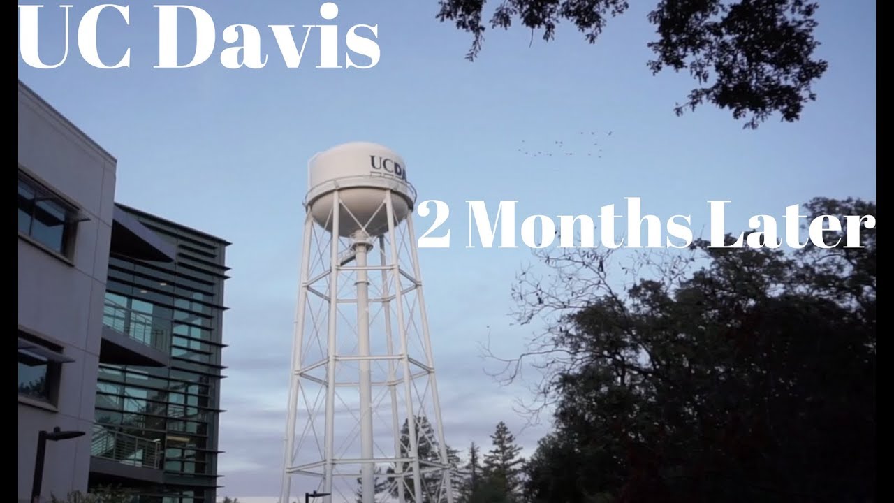 UC Davis 2 Months Later: Freshman Year!