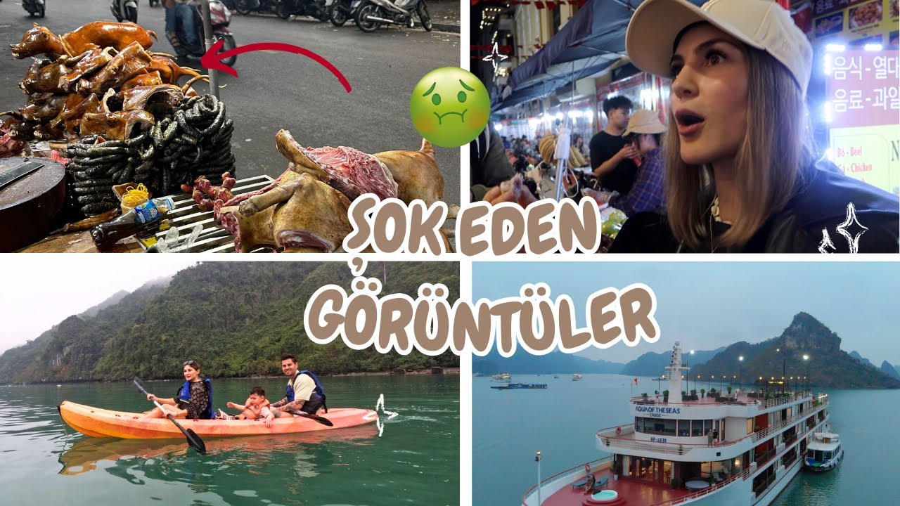 3 ÇOCUK İLE VİETNAMI GEZİYORUZ! ŞOK EDEN GÖRÜNTÜLER 🤯HALONG BAY' DE EN GÜZEL MANZARA 😍| ALMANCILAR