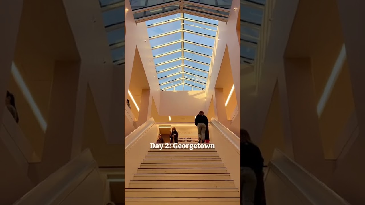 ✨ Washington DC ✨ 3 day itinerary 🚲🥯🍷🗽 #washington #dc #travel #minivlog