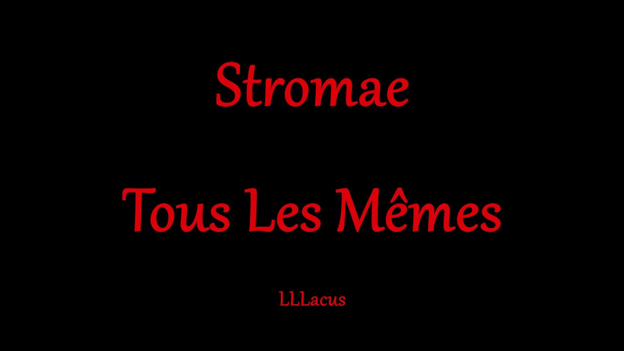 Stromae - Tous Les Mêmes - Magyar Zeneszöveggel -