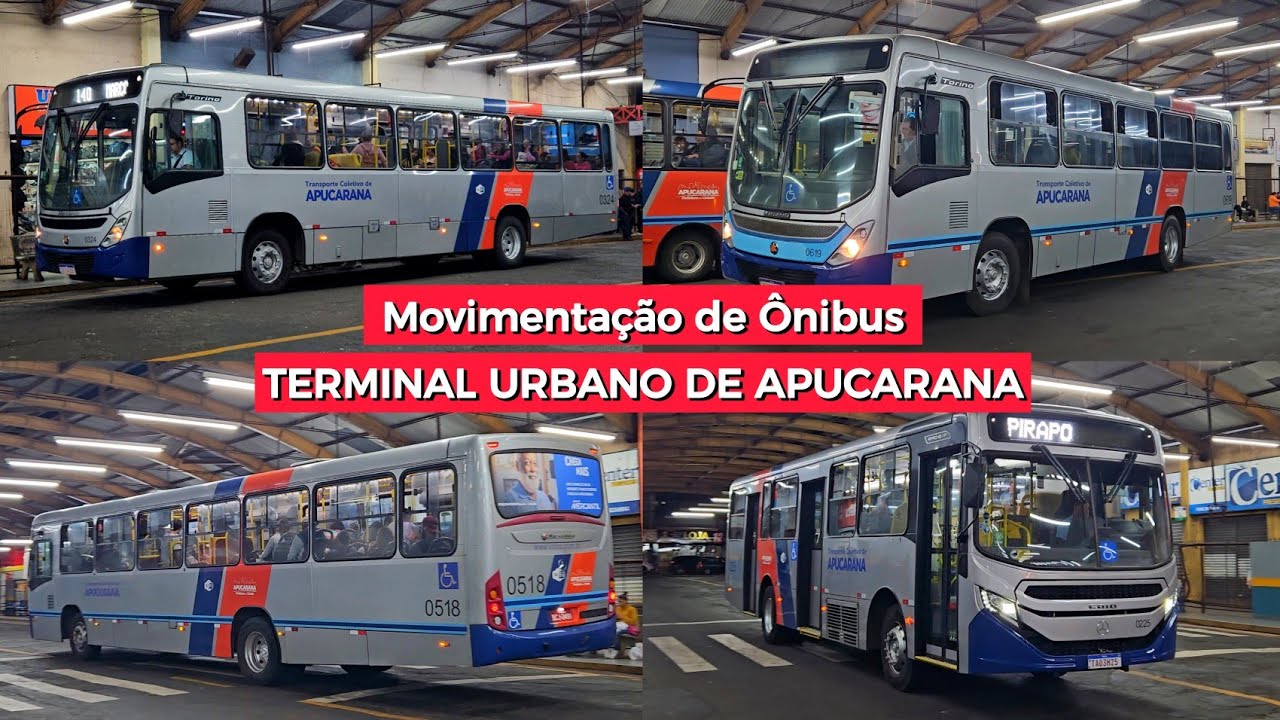 SUPER MOVIMENTAÇÃO de ÔNIBUS no Terminal Urbano de Apucarana - PR