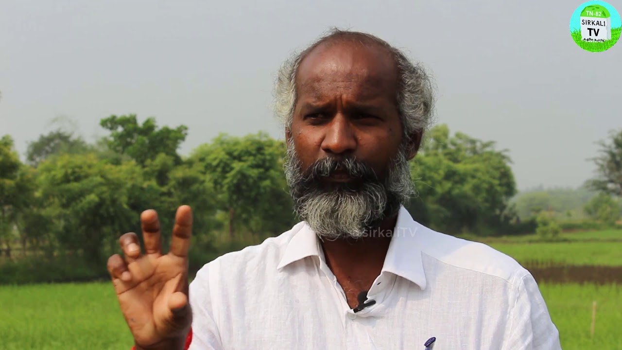 மழை வருவதை முன்கூட்டியே அறியும் நம் முன்னோர்களின் ஞானம்! How to know rain is coming Weather Forecast