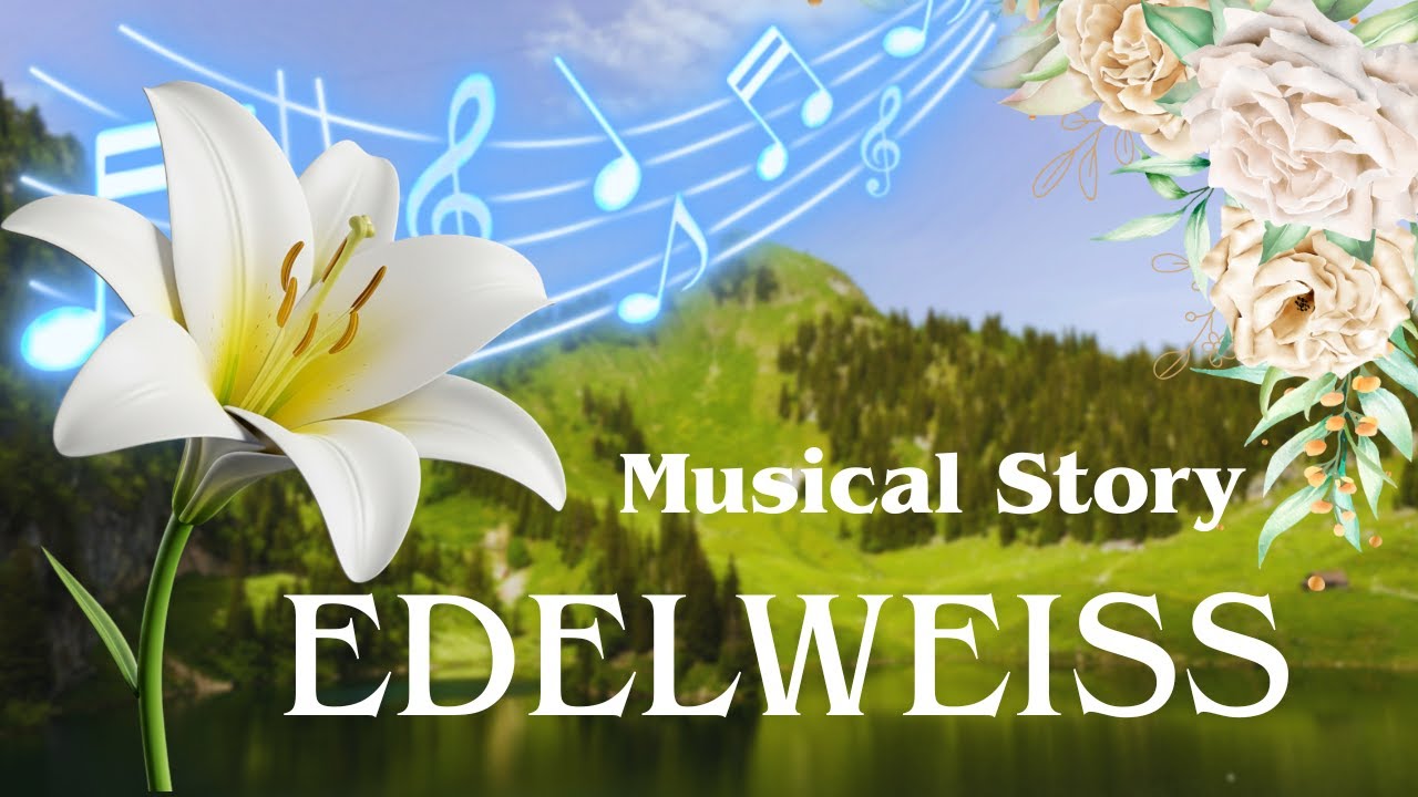 Edelweiss Explained The Sound of Music's Hidden Farewell