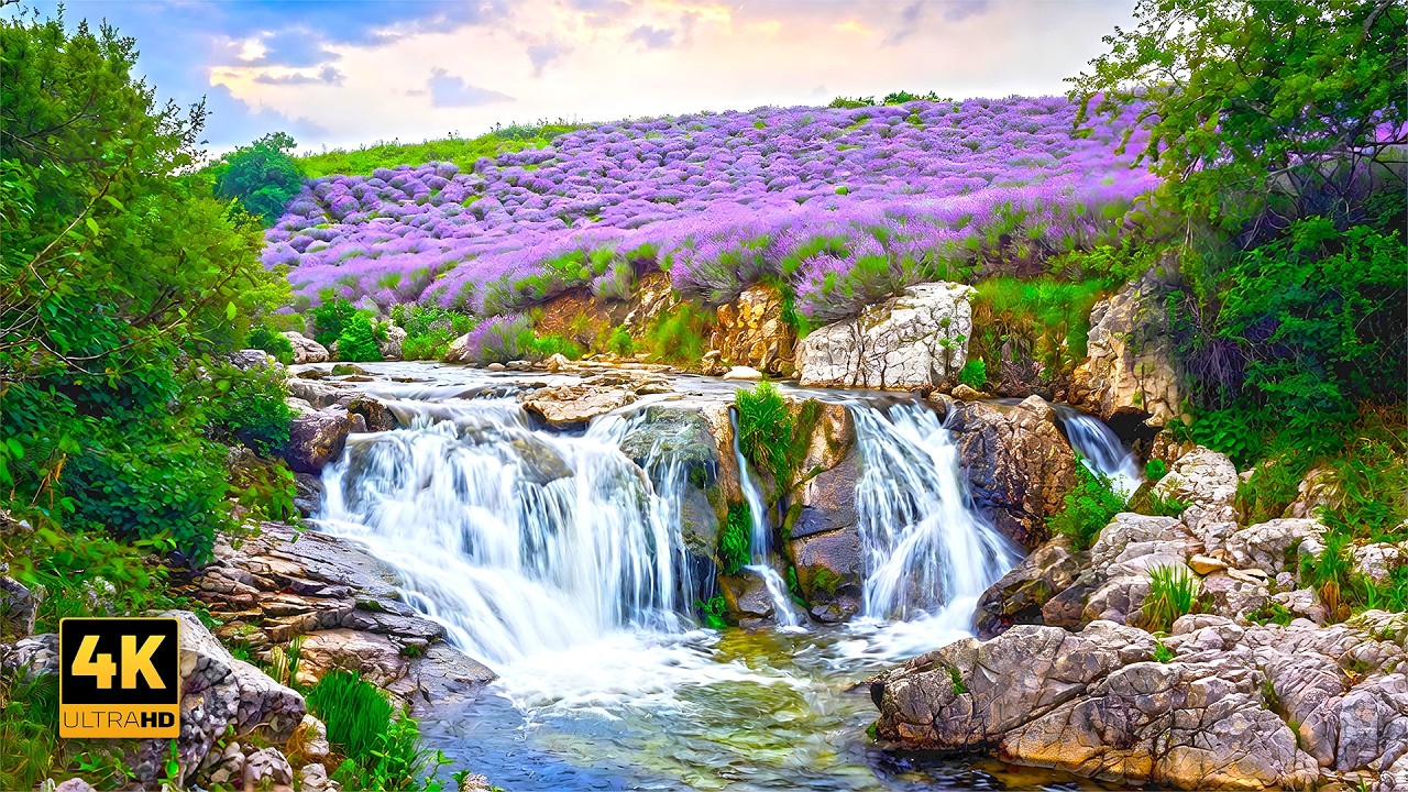 4K UHD Relaxing Waterfall Sounds for Deep Sleep #asmr #waterfallnature #waterfallambience