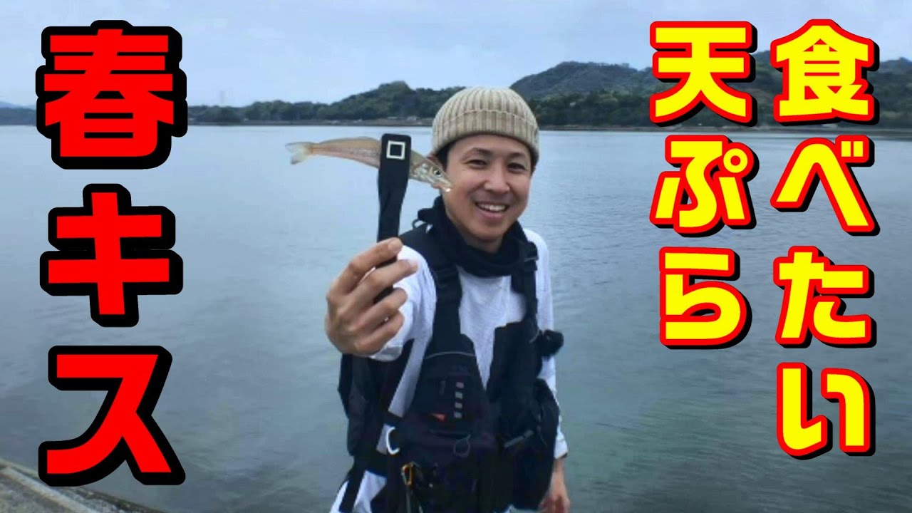 【キス釣り】春キスの天ぷらを食べたくて夫婦で狙ったら…