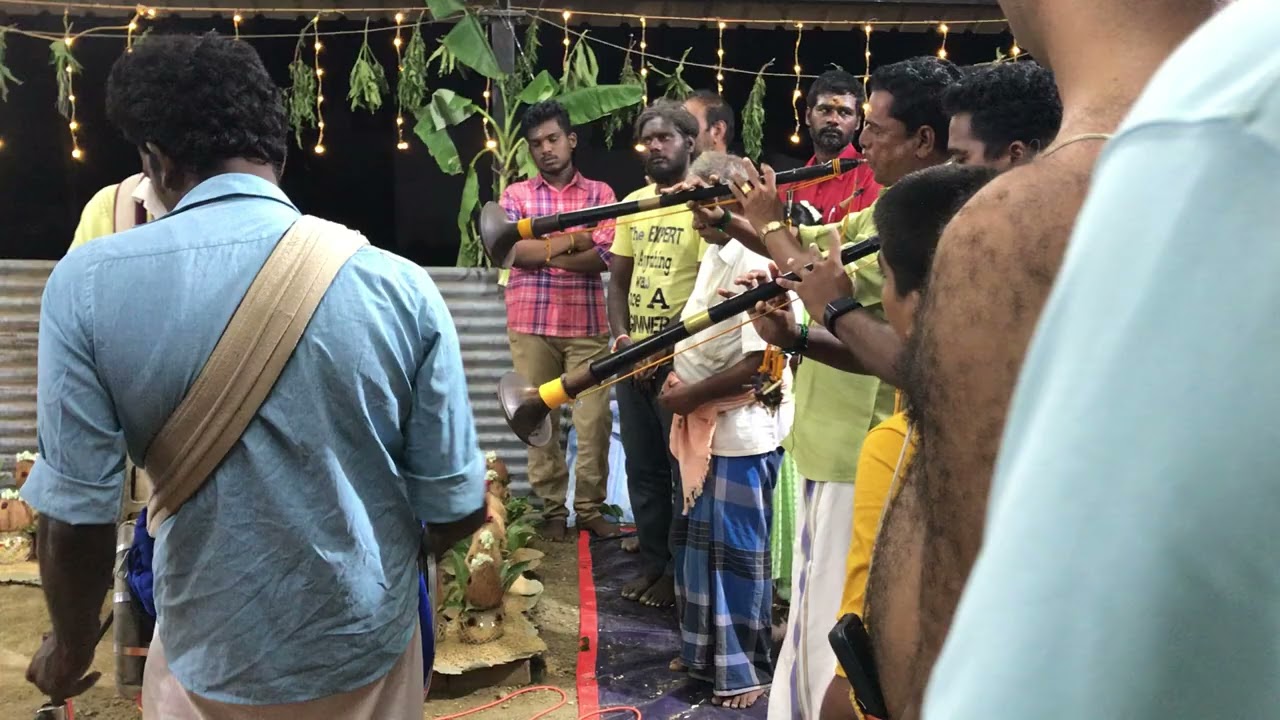 Magudi transformed kavadi sindhu by nadhaswaram & thavil #magudi #nadhaswaram #thavilnadhaswaram