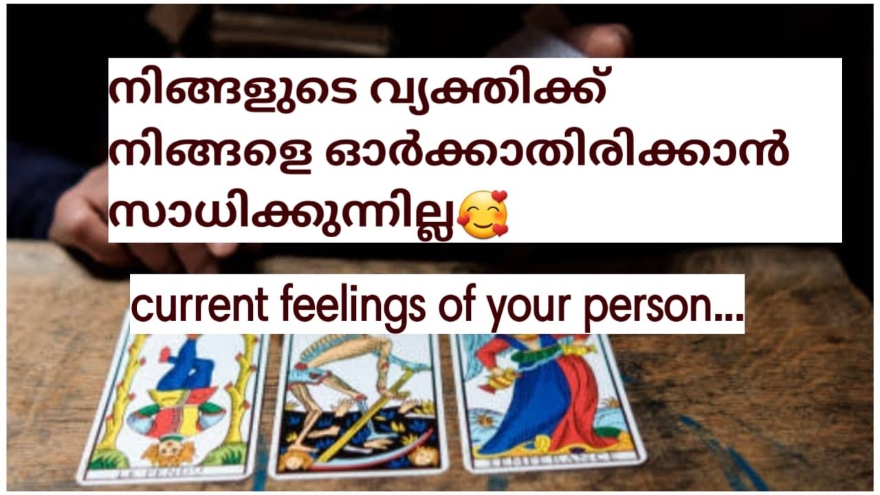 ♥️നിങ്ങളുടെ വ്യക്തിക്ക് നിങ്ങളെ ഓർക്കാതിരിക്കാൻ സാധിക്കുന്നില്ല..🧚current feelings of your person...