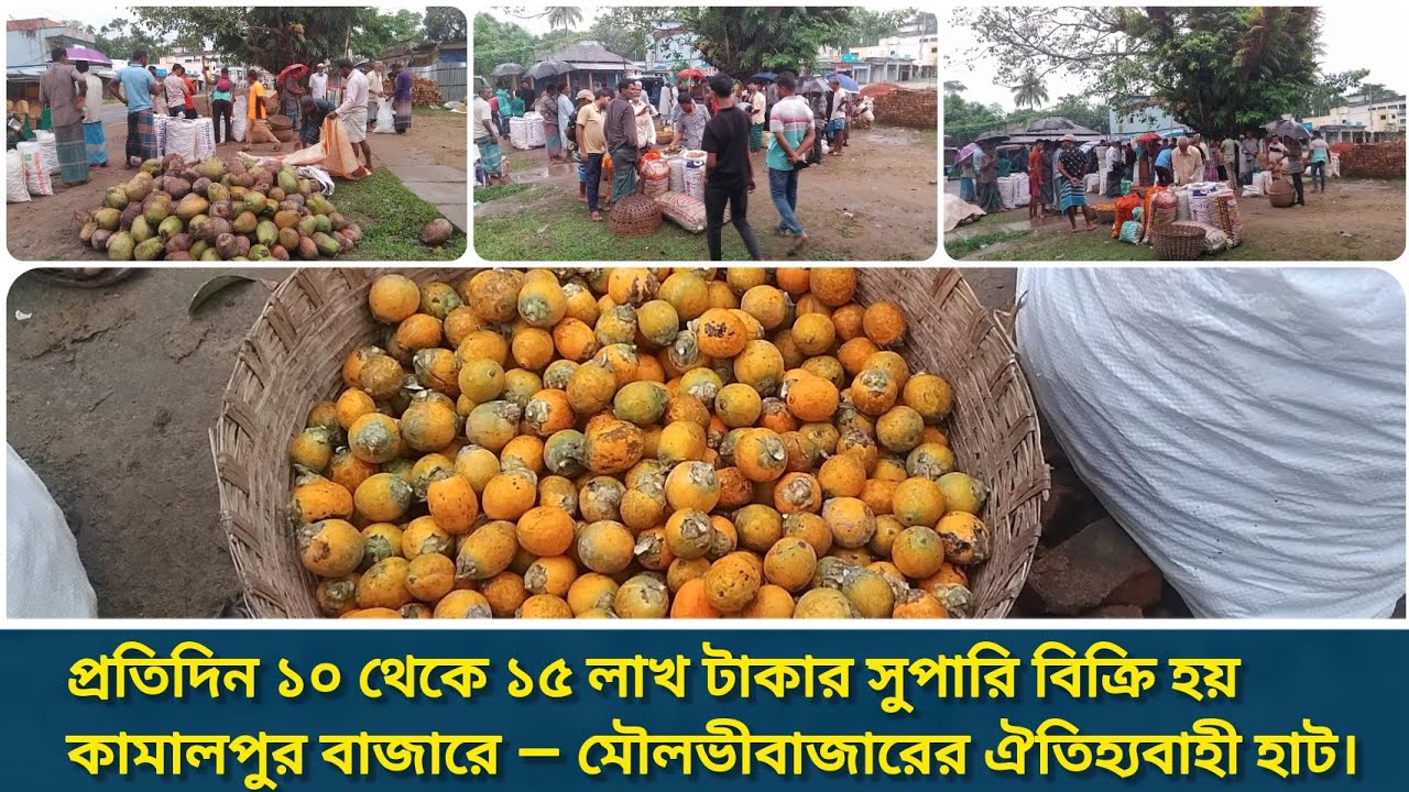প্রতিদিন ১০ থেকে ১৫ লাখ টাকার সুপারি বিক্রি হয় কামালপুর বাজারে | মৌলভীবাজারের ঐতিহ্যবাহী হাট |