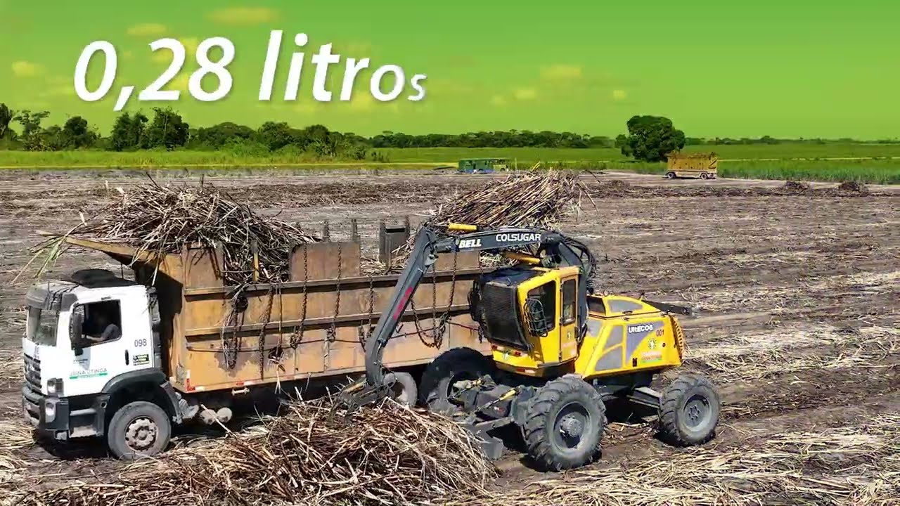 Carregadora Ulteco 6: eficiência e potência para a colheita de cana