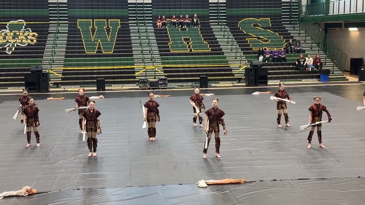 “Honey” Fishers Highschool JV Winter Guard Westfield Performance 2026