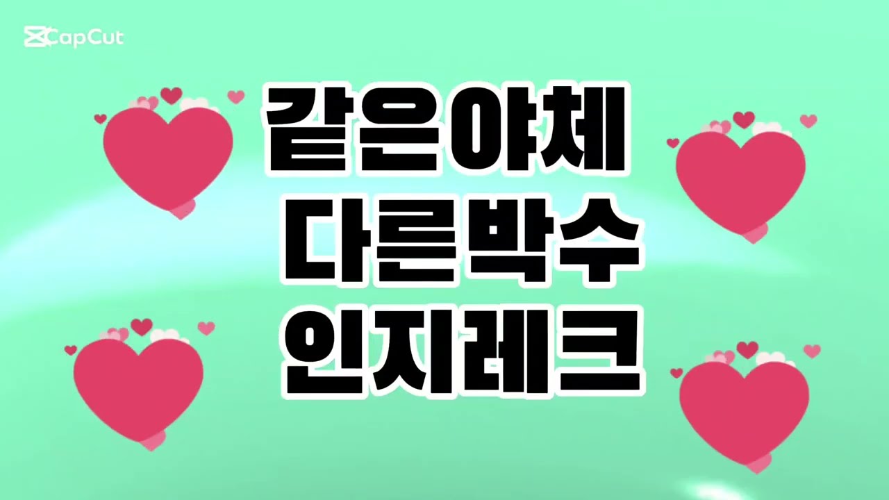 #같은야채다른레크#인지레크
