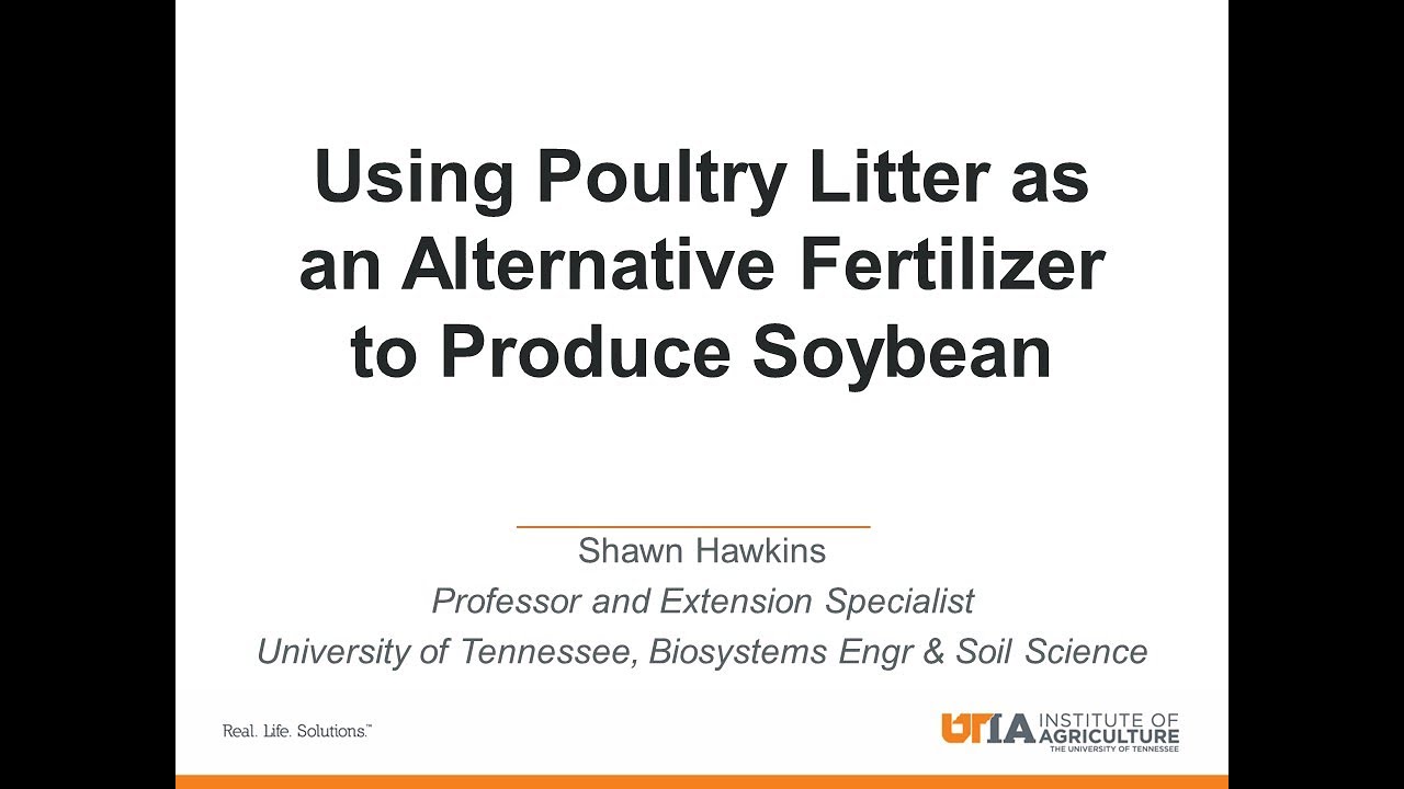 Using Poultry Litter as an Alternative Fertilizer to Produce Soybean